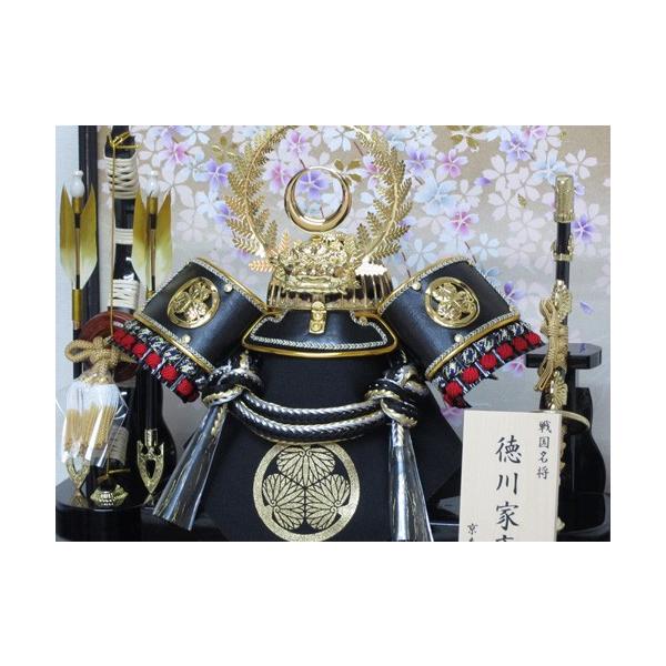  ܌l`  P[X ؐ|t Ԍ43cm 12슕P[X YN30317GKC  kabuto-49