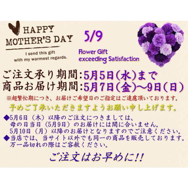 母の日 21 花 ギフト アジサイ プレゼント 紫陽花 鉢植え 塩原さん オリジナル 新品種 希少 プレミアム 白 八重 てまり咲き 5号鉢 鉢カバー入り Buyee Buyee 日本の通販商品 オークションの代理入札 代理購入