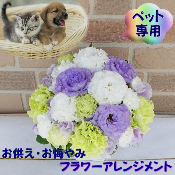 ペット お悔やみ 花 お供え 仏花 ギフト 贈り物 フラワーアレンジメント 翌日お届け デザイナーにおまかせ 3960円 Buyee Buyee Japanese Proxy Service Buy From Japan Bot Online