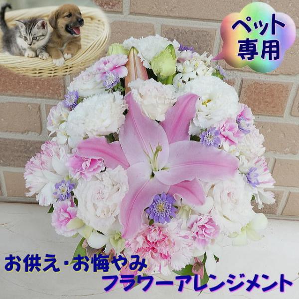 お供え フラワーアレンジメント - ペットの人気商品・通販・価格比較 - 価格.com お供え フラワーアレンジメント - ペットの人気商品・通販・価格比較 - 価格.com