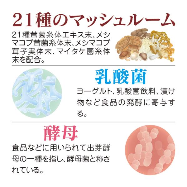 yunia_sp002_1_d_20241128224124