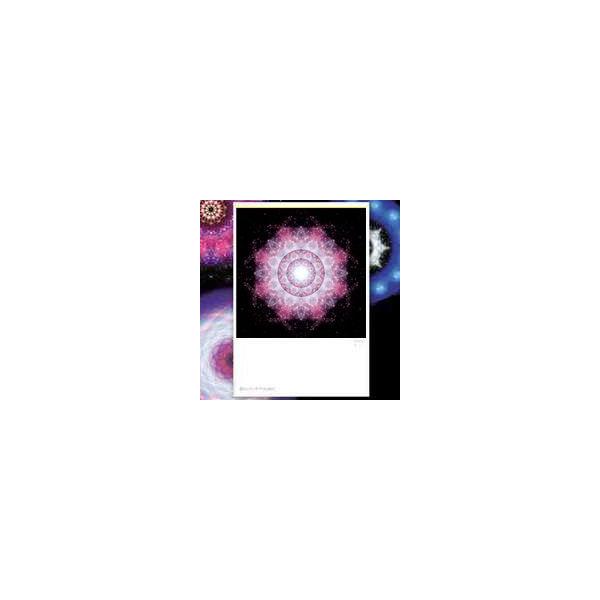 【サイズ】148×100mm【素材】紙