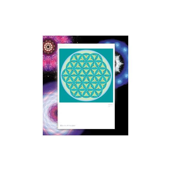 【サイズ】148×100mm【素材】紙