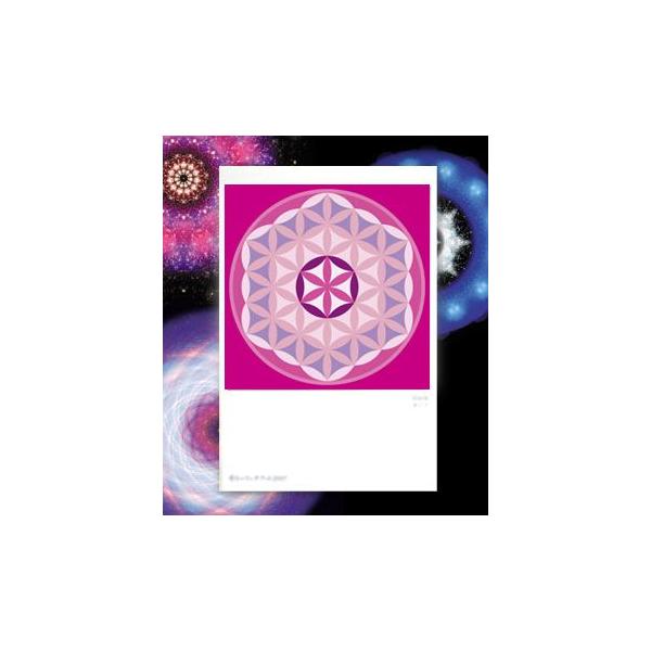 【サイズ】148×100mm【素材】紙