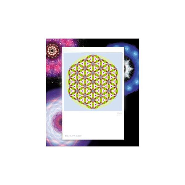 【サイズ】148×100mm【素材】紙