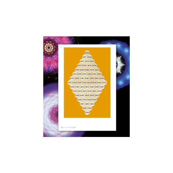 【サイズ】148×100mm【素材】紙