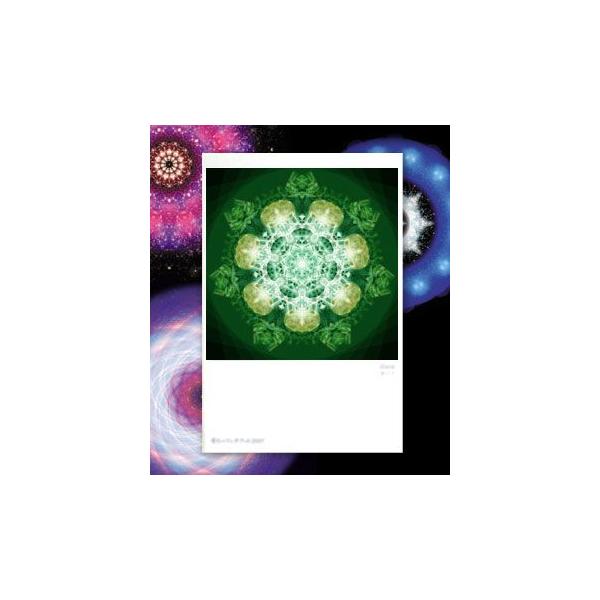 【サイズ】148×100mm【素材】紙