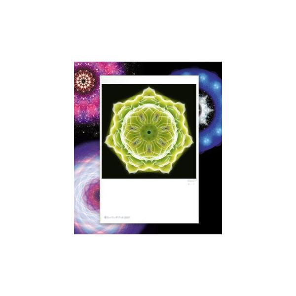 【サイズ】148×100mm【素材】紙