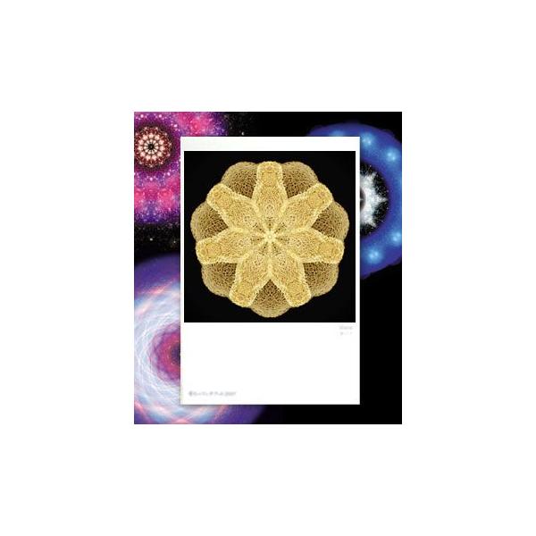 【サイズ】148×100mm【素材】紙