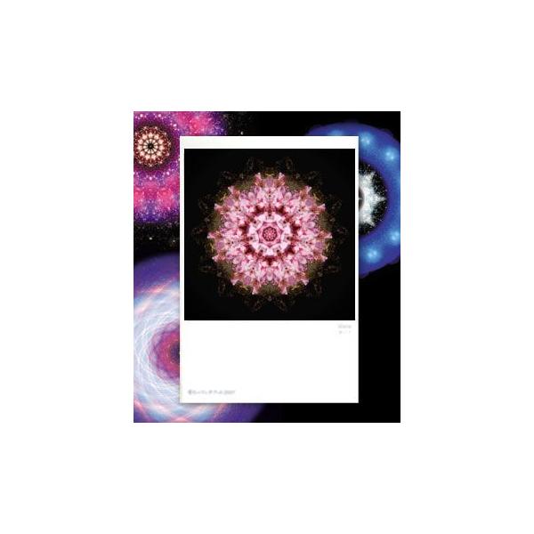 【サイズ】148×100mm【素材】紙