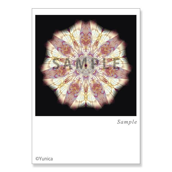 【サイズ】148×100mm【素材】紙