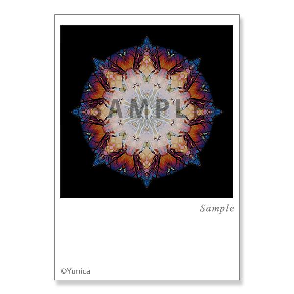 【サイズ】148×100mm【素材】紙