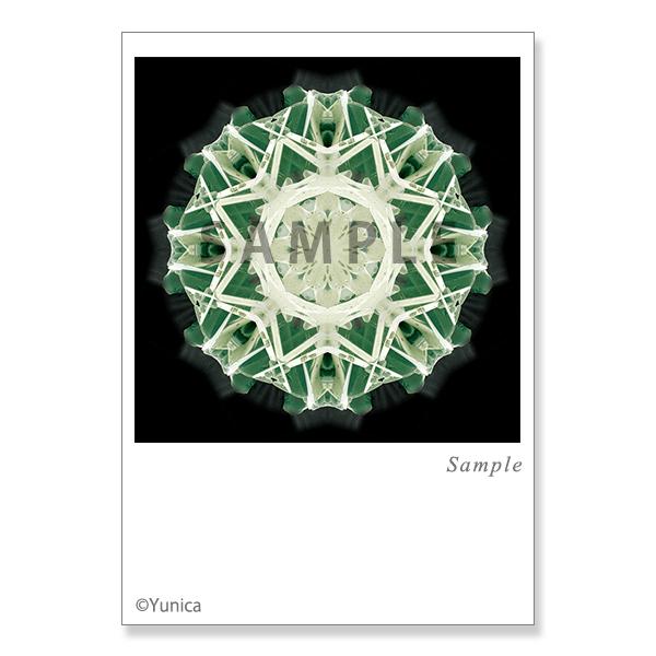 【サイズ】148×100mm【素材】紙