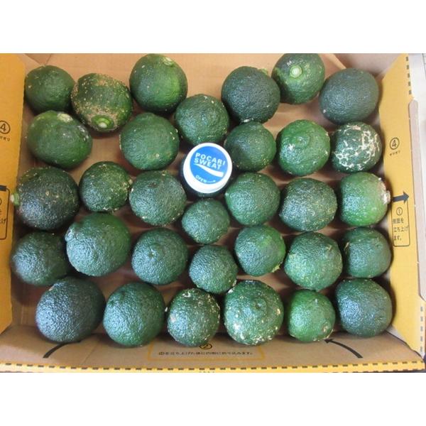 青ゆず【訳あり】S玉（小玉） 1キログラム：約30個前後：送料込み