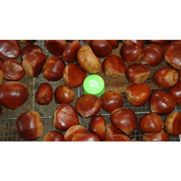 栗　丹羽栗　小栗中栗込み 1ｋｇ 送料込み