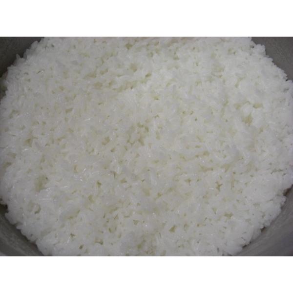 令和8年産 新米 ゆのき米 つきあかり 精米10Kｇ：カラー選別後・石抜き精米：冷めてからが美味しい！お弁当に！殺虫剤未使用！