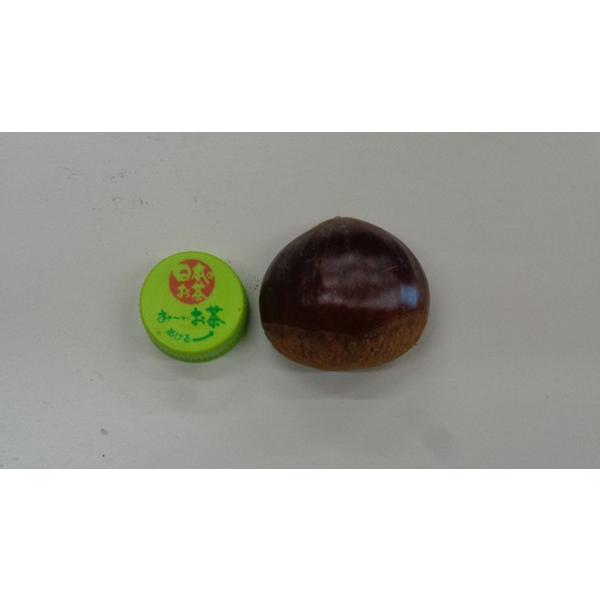 大栗・中栗込み 「岸根（がんね）栗・銀寄」1kg（風袋込み）