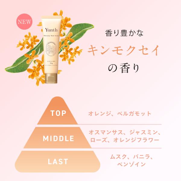 yunth_yb-113-001_4_d_20250911121540