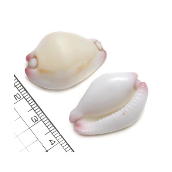 yLkp[czRETMKC {^E~ETM ZVE~ETMKC 1 i䂤pPbgz\ij