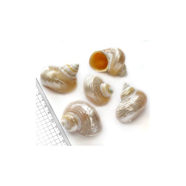 yLkp[czLO`TUGip[j @1@i䂤pPbg3cmzij