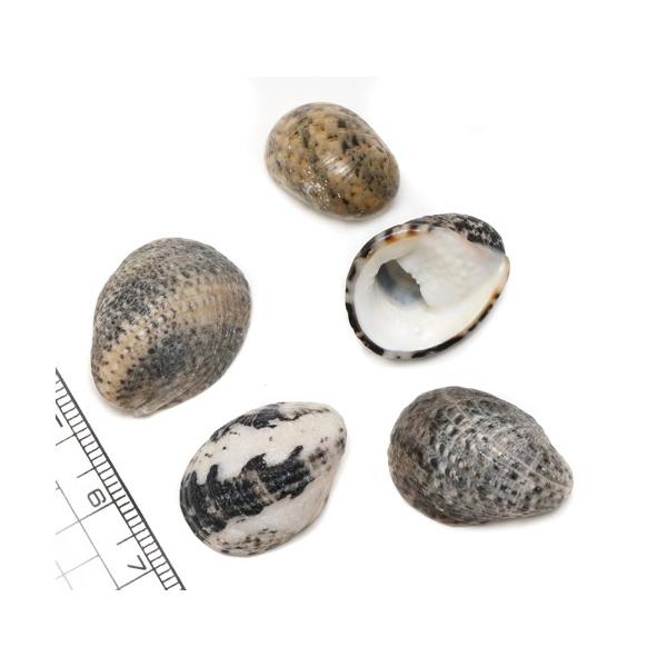 yunyuzakka-com_58694