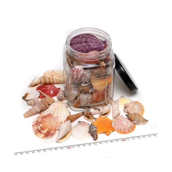 yunyuzakka-com_58876