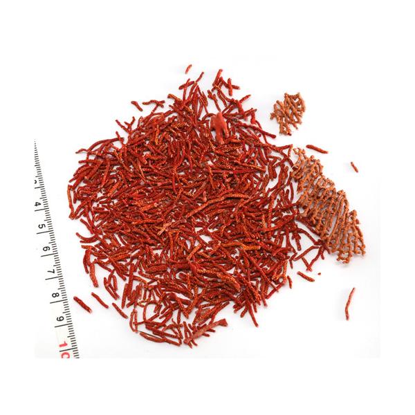 yLkp[czC\oiTŜ ȌЂ̂ C 8g@