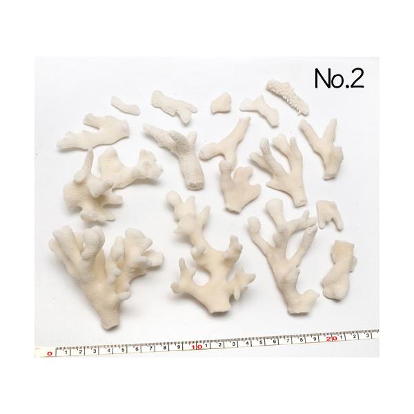 CeApXp[c ܂Ƃ߂ĂpbN ʐ^i No.2 230g 2