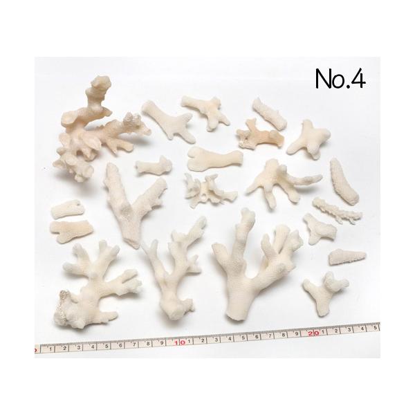 CeApXp[c ܂Ƃ߂ĂpbN ʐ^i No.4 240g 4