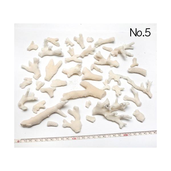 CeA HpXp[c ܂Ƃ߂ĂpbN ʐ^i No.5 222g 5