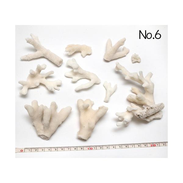 CeA HpXp[c ܂Ƃ߂ĂpbN ʐ^i No.6 225g 6