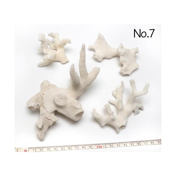 CeA HpXp[c ܂Ƃ߂ĂpbN ʐ^i No.7 210g 7