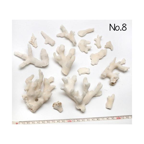 CeA HpXp[c ܂Ƃ߂ĂpbN ʐ^i No.8 222g 8