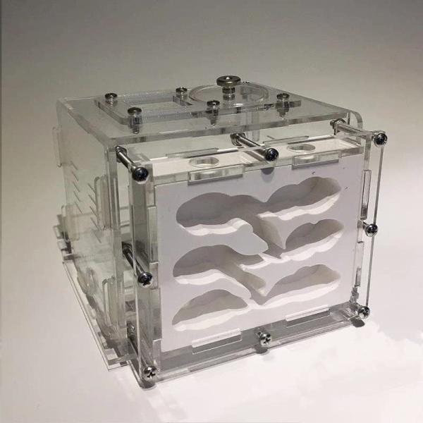 透明なアクリルでできたケースは360度どの方向からでも中のアリの生活を観察することができます。土やゲルを使用しないので腐らず清潔も簡単です。アリに快適に暮らせる理想的な飼育容器です。保湿性が高く湿度管理がしやすい、巣の上部（1/3）を湿らせ...