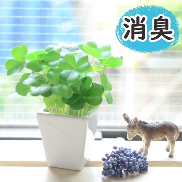 Ct触媒 フェイクグリーン クローバー 消臭 Ct触媒 観葉植物 フラワー グリーン 消臭 防汚 抗菌 本物みたい 光触媒より便利 おしゃれ 玄関 トイレ インテリア G 0044 Ctclovet ゆららかマーケット 通販 Yahoo ショッピング