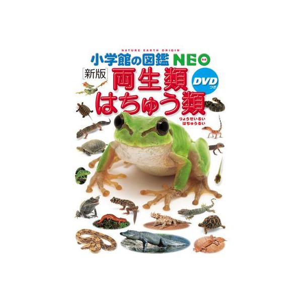 両生類・はちゅう類 新版-DVDつき : 有隣堂ヤフーショッピング店