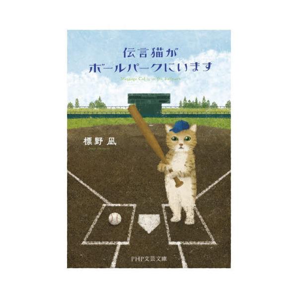 伝言猫がボールパークにいます