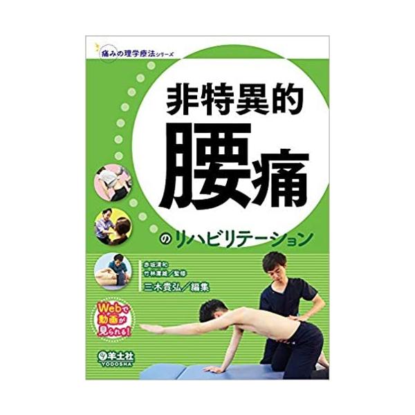 非特異的腰痛のリハビリテーション (痛みの理学療法シリーズ) 【公式通販】