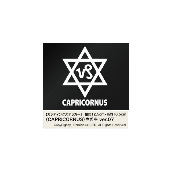 yCAPRICORNUSi€jVer.07 JbeBOXebJ[ 2g 12.5cm×16.5cmz