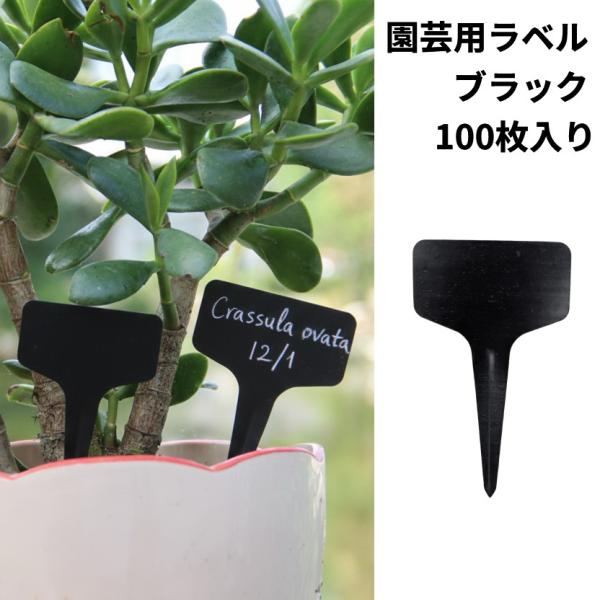 並行輸入品】園芸用ラベル 黒 100枚入 T型 防水 園芸ラベル 植物タグ