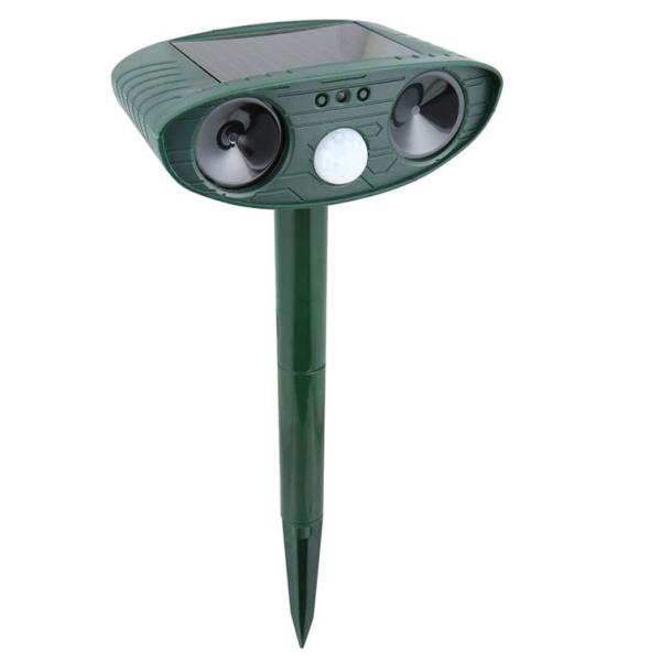 ★この商品は送料無料ですが、北海道、沖縄、離島は８８０円の送料がかかります。