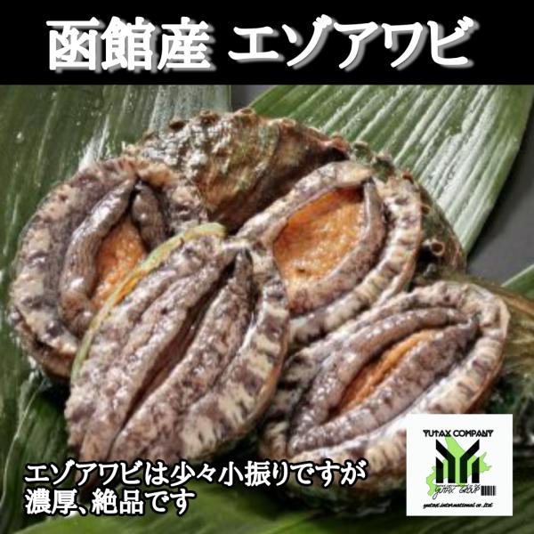 北海道産　高級　活　蝦夷あわび　3個　アワビ　あわび