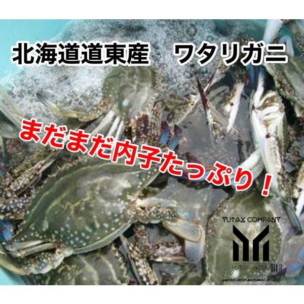 全商品オープニング価格 全てメス 2kg ワタリガニ 北海道産 送料無料 まだまだ内子あり カニ