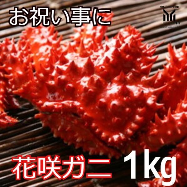 北海道　定番　花咲ガニ　1kg前後　御祝い事、贈り物等に　