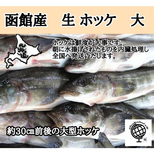 北海道産 生　ほっけ 3尾　ホッケ