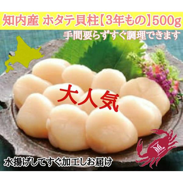 北海道　知内産　ホタテ　貝柱　3年もの　500g　帆立