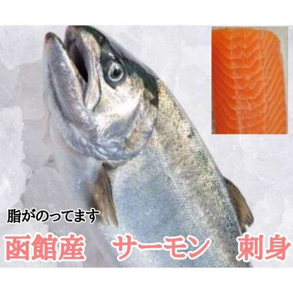 北海道産　トラウトサーモン　刺身用　５００ｇ　１ブロック