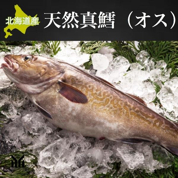 北海道産 天然真鱈 マダラ 1尾 2 3kg オス Madaraosu ユタックス物産 北海道 通販 Yahoo ショッピング
