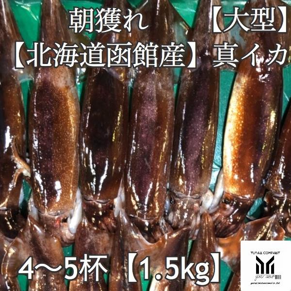 last 〒 第１０弾 ご当地フォルムカード 北海道【スルメイカ（真イカ）】 〒 Amazon | ポストカード ご当地フォルムカード 第10弾 関東セット