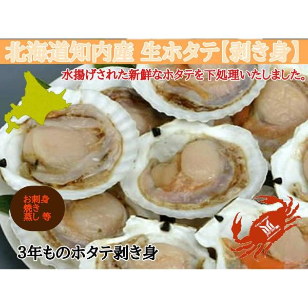 北海道　知内産　剥き　生　ホタテ　3年物　6枚分　帆立